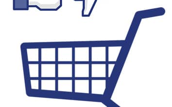 social e-commerce