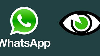 WhatsApp ultimo accesso privacy