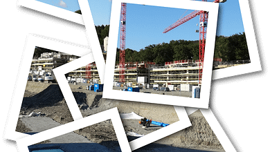 immagini gratis da scaricare