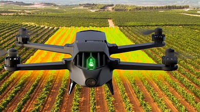 drone parrot bluegrass