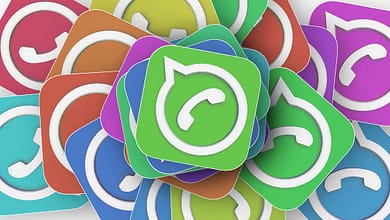 whatsapp business
